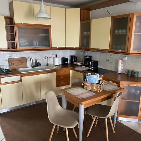 Among The Pines Katakolo