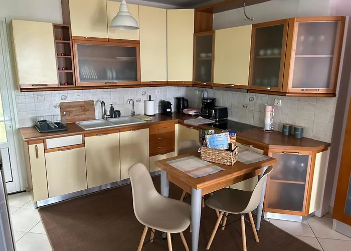 Among The Pines 卡塔科隆