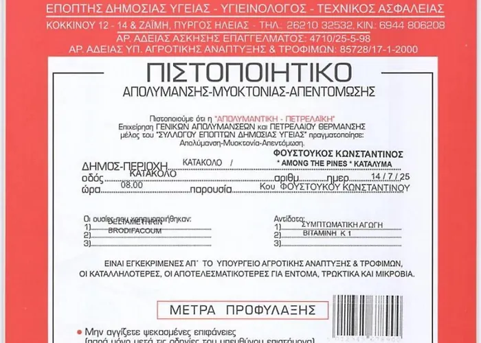 Among The Pines 卡塔科隆